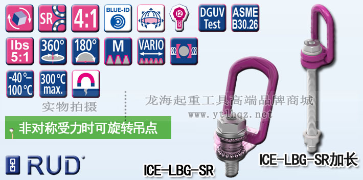 ICE-LBG-SR型路德旋轉吊點