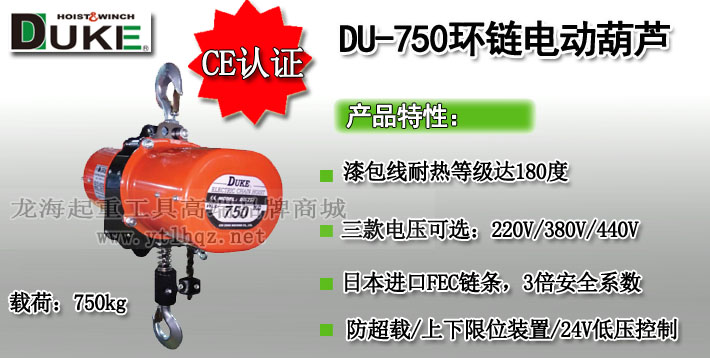 DU-750環(huán)鏈電動(dòng)葫蘆圖片